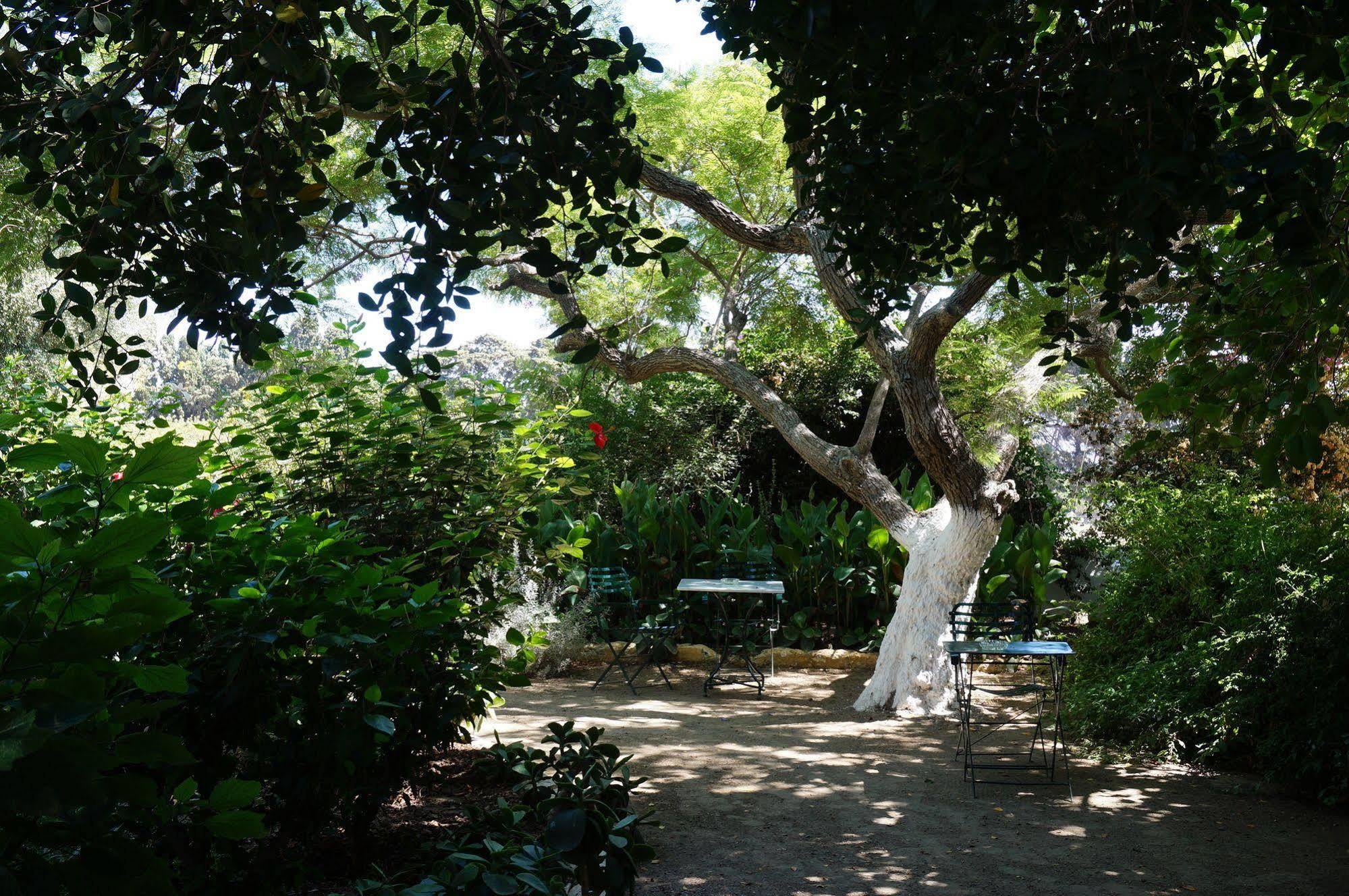Archontiko Angelou Alinda (Leros) Exterior foto